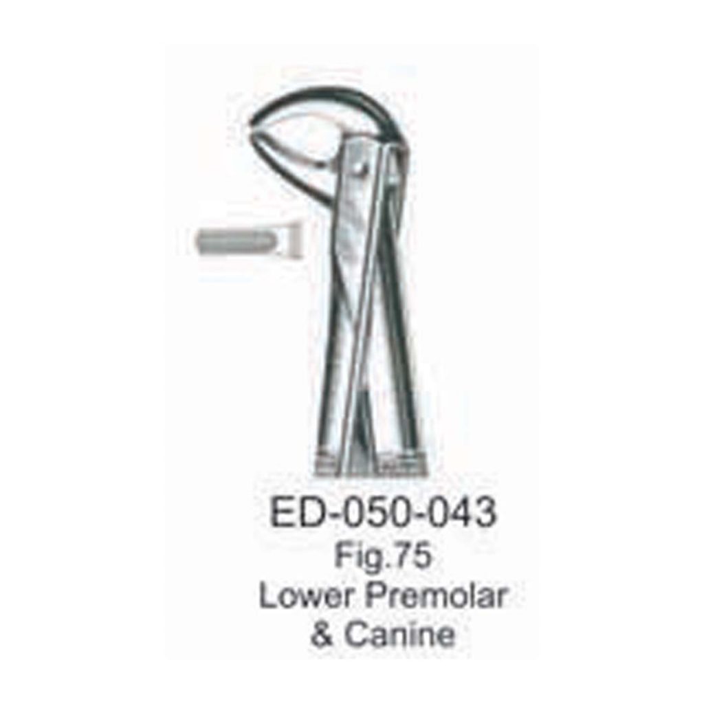 elite-extraction-forceps-upper-root-curve-dental-store-lk